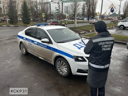 В Алексеевке следователями СК возбуждено уголовное дело в отношении местной жительницы, применившей насилие в отношении сотрудника полиции